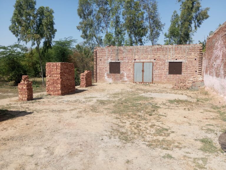 WhatsApp Image 2025-05-14 at 01.15